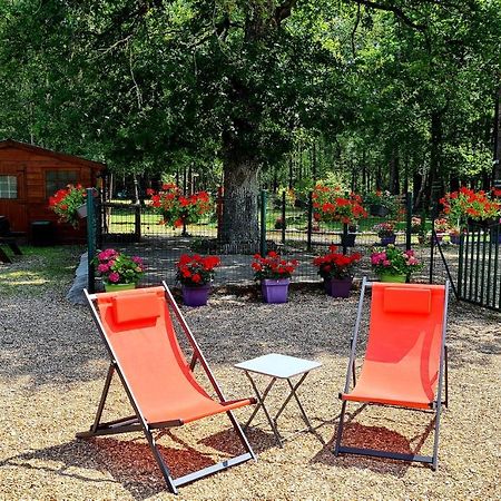 Le Chalet Des Pins Otel Rougeou Dış mekan fotoğraf