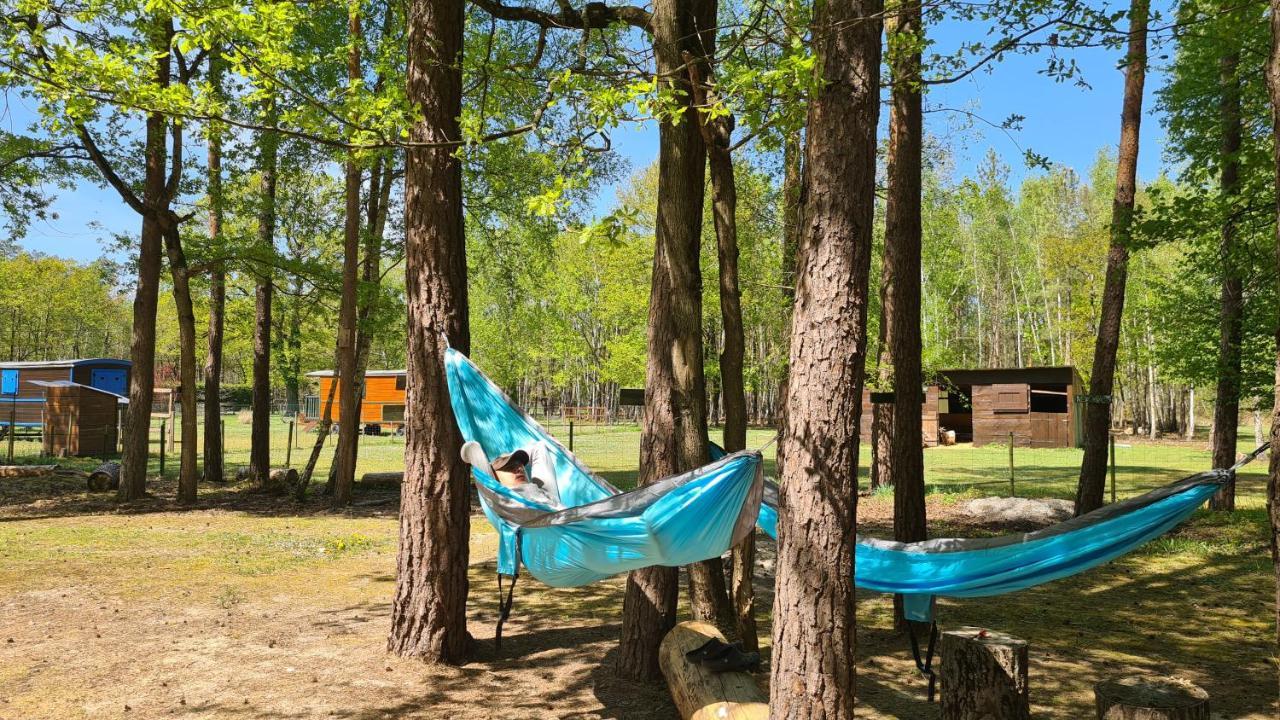 Le Chalet Des Pins Otel Rougeou Dış mekan fotoğraf