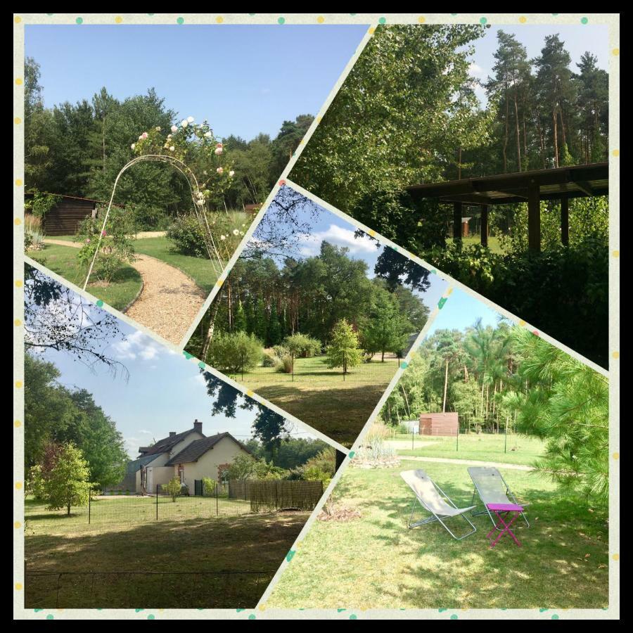 Le Chalet Des Pins Otel Rougeou Dış mekan fotoğraf