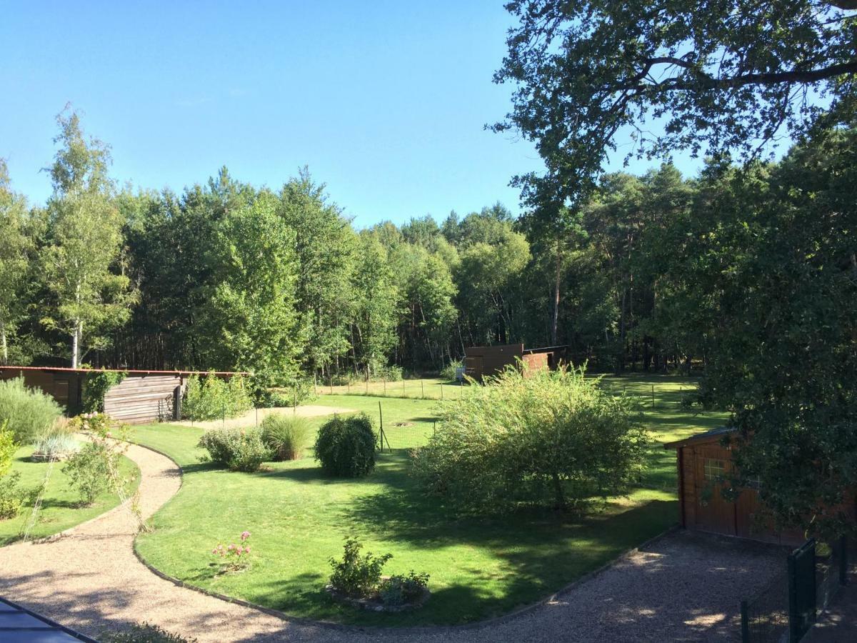 Le Chalet Des Pins Otel Rougeou Dış mekan fotoğraf